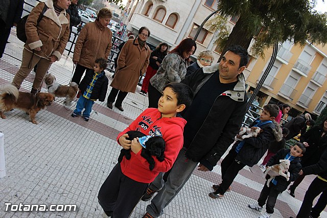 Los animales recibieron la bendicin en el da de su patrn, San Antn Abad - 2014 - 295