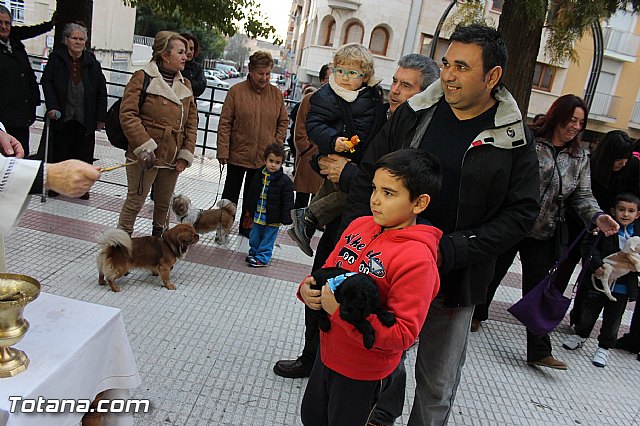 Los animales recibieron la bendicin en el da de su patrn, San Antn Abad - 2014 - 296