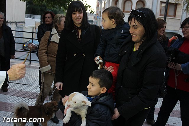 Los animales recibieron la bendicin en el da de su patrn, San Antn Abad - 2014 - 299