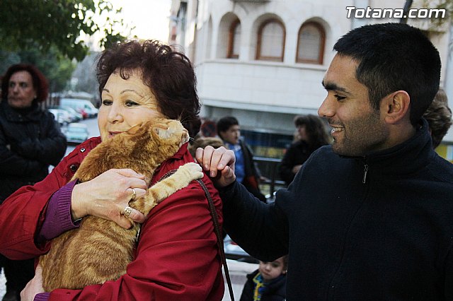 Los animales recibieron la bendicin en el da de su patrn, San Antn Abad - 2014 - 307