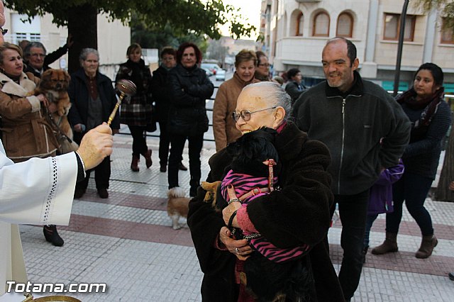 Los animales recibieron la bendicin en el da de su patrn, San Antn Abad - 2014 - 311