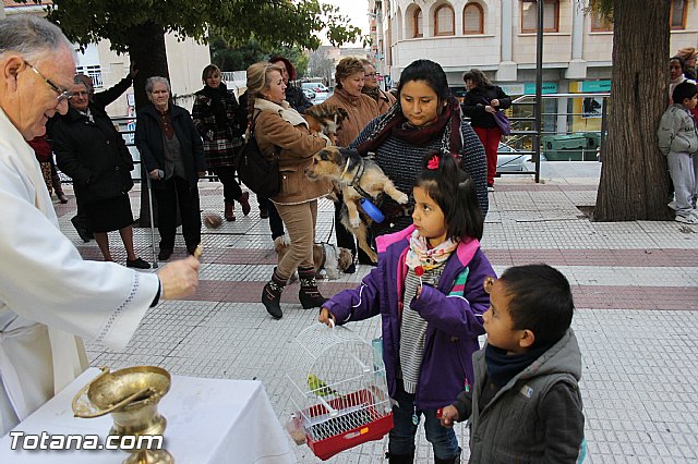 Los animales recibieron la bendicin en el da de su patrn, San Antn Abad - 2014 - 312