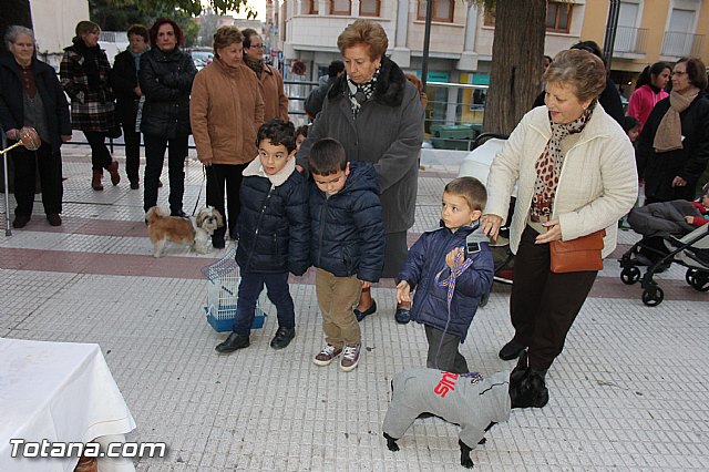 Los animales recibieron la bendicin en el da de su patrn, San Antn Abad - 2014 - 313