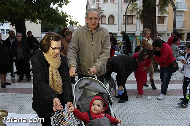 Los animales recibieron la bendicin en el da de su patrn, San Antn Abad - 2014 - 317