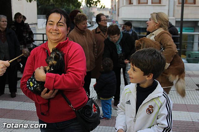 Los animales recibieron la bendicin en el da de su patrn, San Antn Abad - 2014 - 319