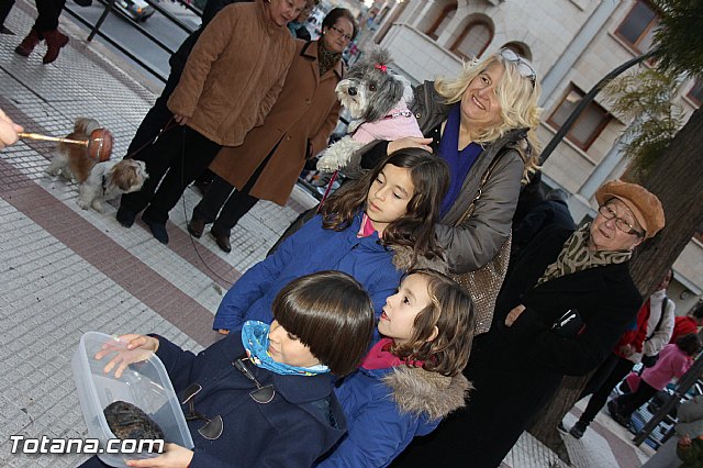 Los animales recibieron la bendicin en el da de su patrn, San Antn Abad - 2014 - 320