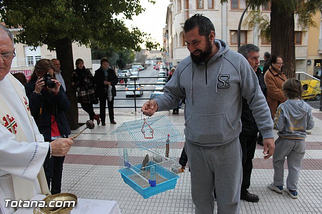 Los animales recibieron la bendicin en el da de su patrn, San Antn Abad - 2014 - 329