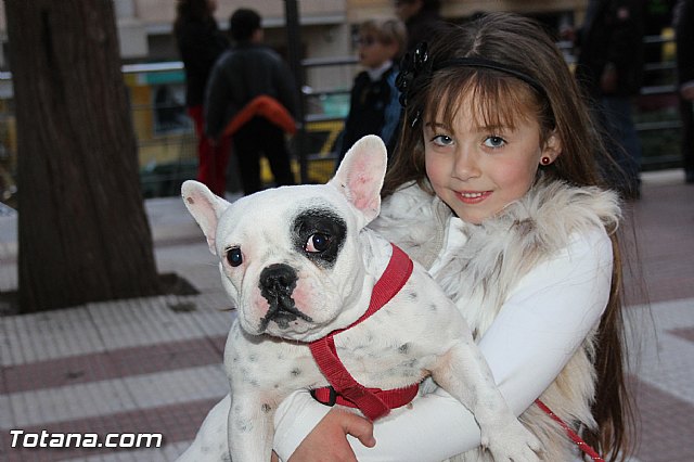 Los animales recibieron la bendicin en el da de su patrn, San Antn Abad - 2014 - 331