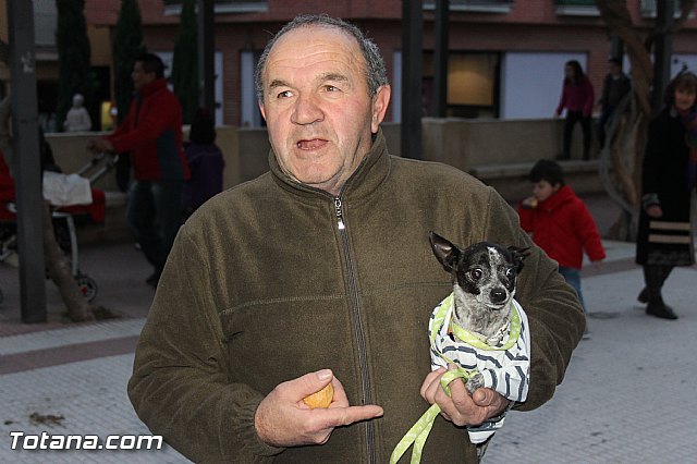 Los animales recibieron la bendicin en el da de su patrn, San Antn Abad - 2014 - 335