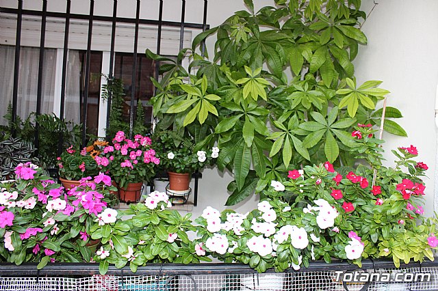 Procesin Barrio San Francisco 2017 - 152