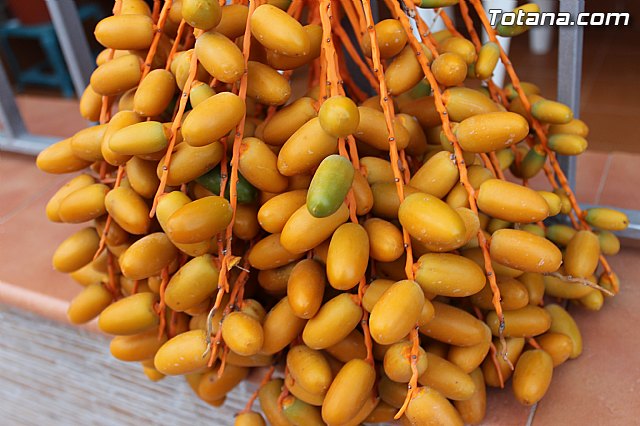 Procesin barrio de San Francisco 2014 - 121