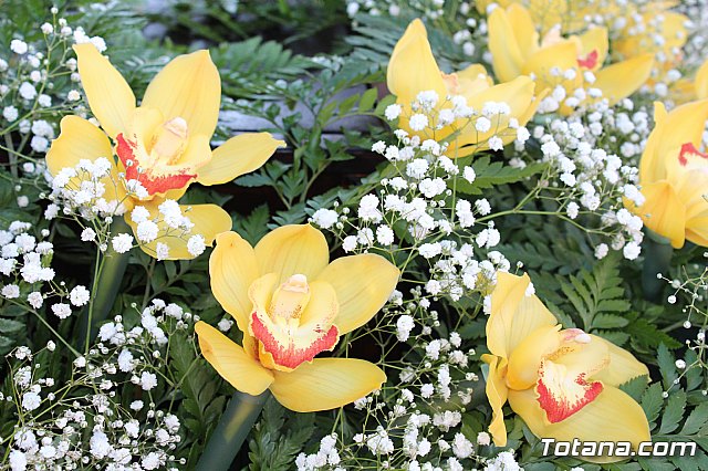 Procesin San Francisco 2018 - 2