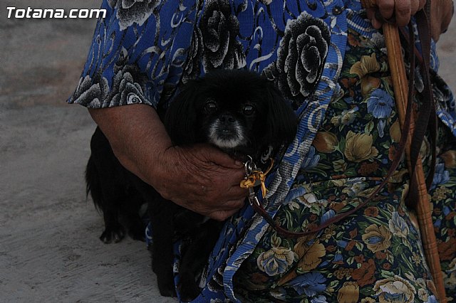 Procesin de San Jos 2013 - 100