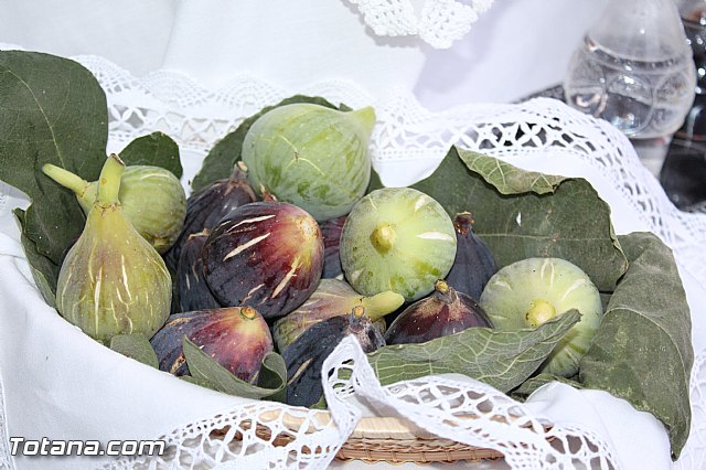 Procesin San Jos 2015 - 94