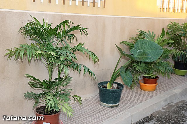 Procesin barrio de San Jos 2016 - 110