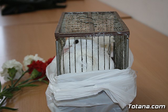 Fiestas barrio Tirol-Camilleri. San Marcos 2013 - 4