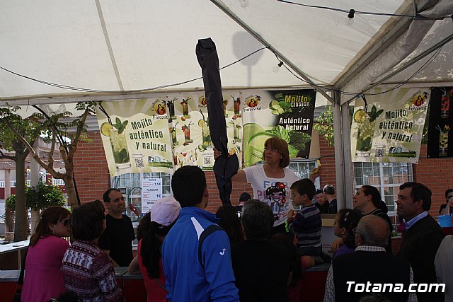 Fiestas barrio Tirol-Camilleri. San Marcos 2013 - 264