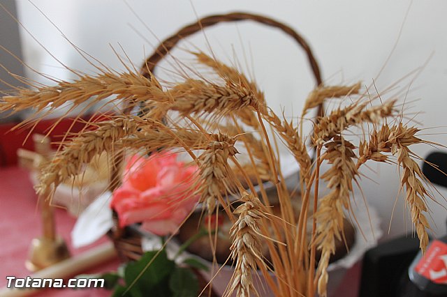 Procesin San Marcos 2014 - 7