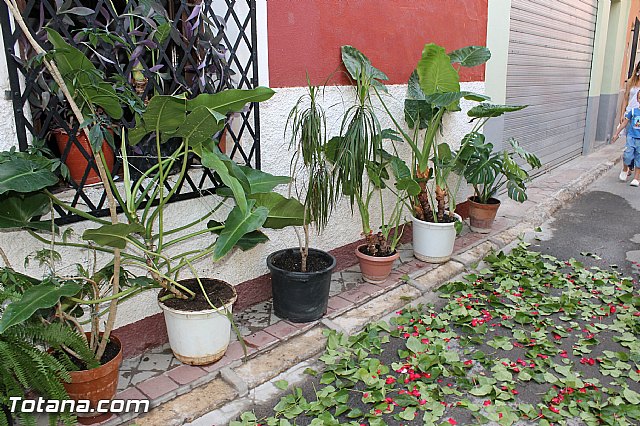 Procesin San Roque 2012 - 169