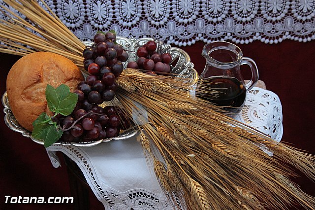 PROCESIN SAN ROQUE 2013 - REPARTO DE 