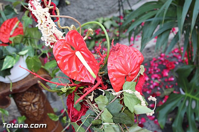 Procesin San Roque 2015 - 118