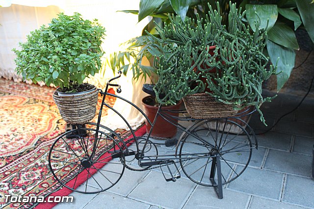 Procesin San Roque 2015 - 158