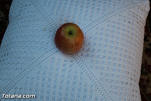 Procesin San Roque 2015 - 159