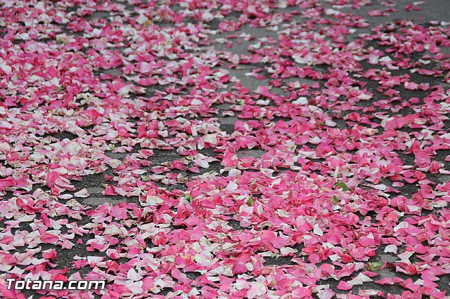 Procesin San Roque 2016 y reparto de 