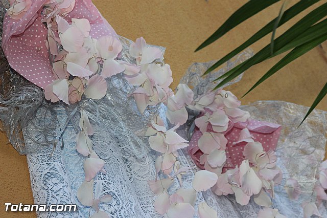 Procesin San Roque 2016 y reparto de 