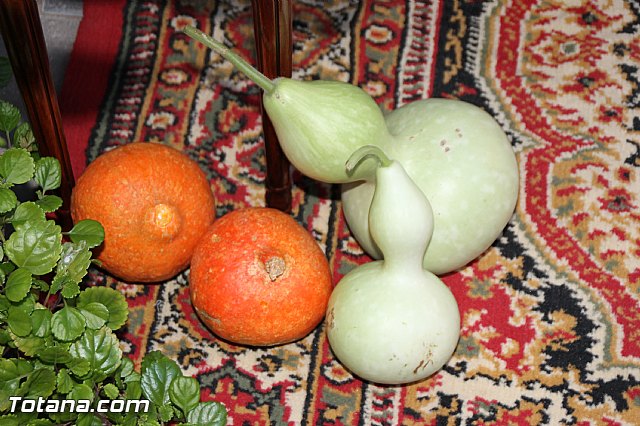 Procesin San Roque 2016 y reparto de 