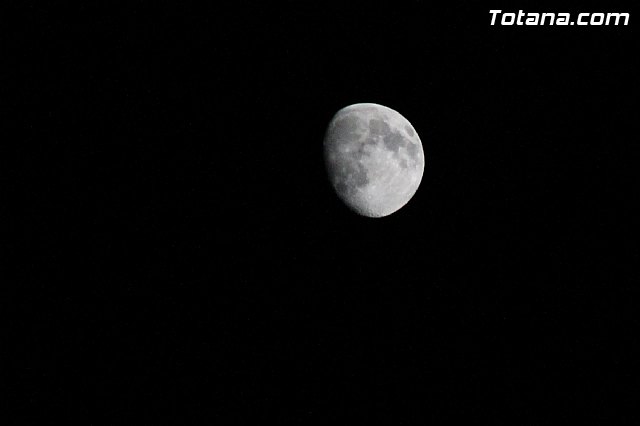 Procesin San Roque 2016 y reparto de 