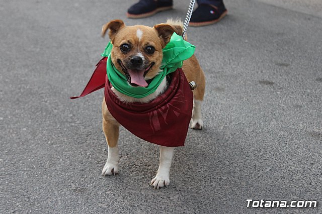 Procesin y reparto de guitarras San Roque 2019 - 134