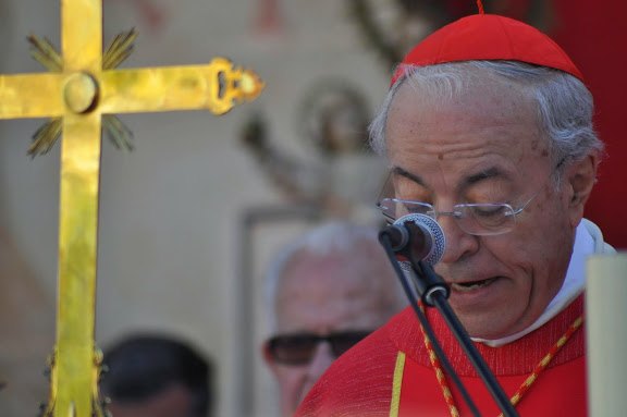 La Vernica de Totana en la eucarista de la Santa Faz de Alicante - 14