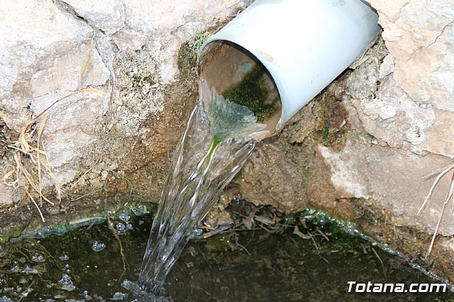 Procesin Santa Leocadia 2017 - 10