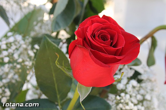 Da de Todos los Santos y Fieles Difuntos 2013 - 64