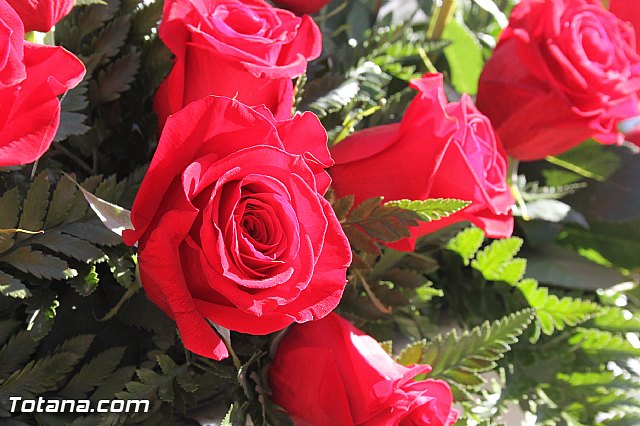 Da de Todos los Santos y Fieles Difuntos 2013 - 71