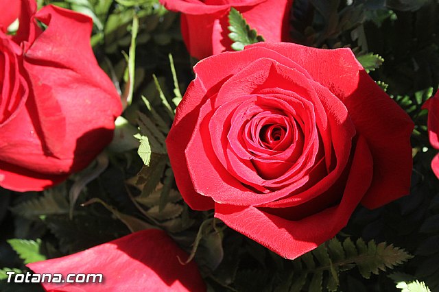 Da de Todos los Santos y Fieles Difuntos 2013 - 72