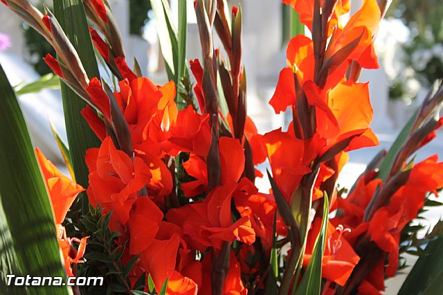 Da de Todos los Santos y Fieles Difuntos 2013 - 84