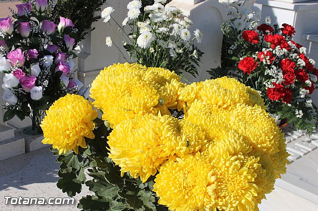 Da de Todos los Santos y Fieles Difuntos 2013 - 217