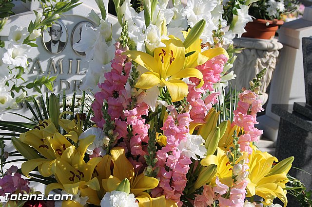 Da de Todos los Santos y Fieles Difuntos 2013 - 248