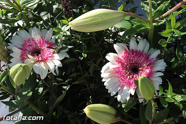 Da de Todos los Santos y Fieles Difuntos 2013 - 295