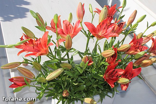 Da de Todos los Santos y Fieles Difuntos 2013 - 302