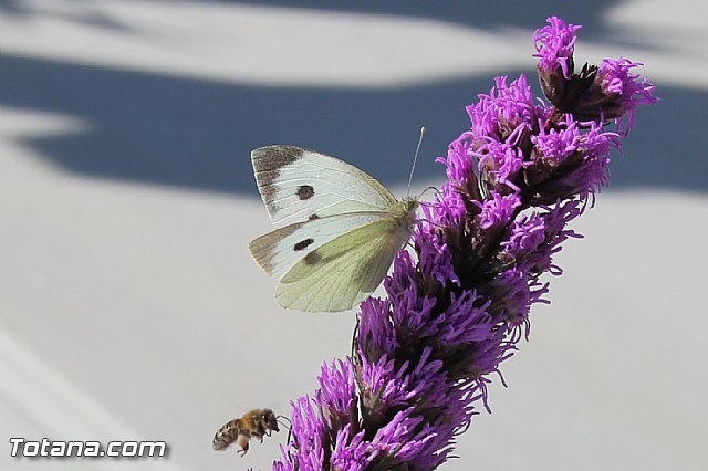 Da de Todos los Santos y Fieles Difuntos 2013 - 478