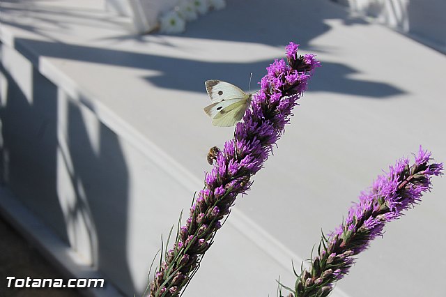 Da de Todos los Santos y Fieles Difuntos 2013 - 479