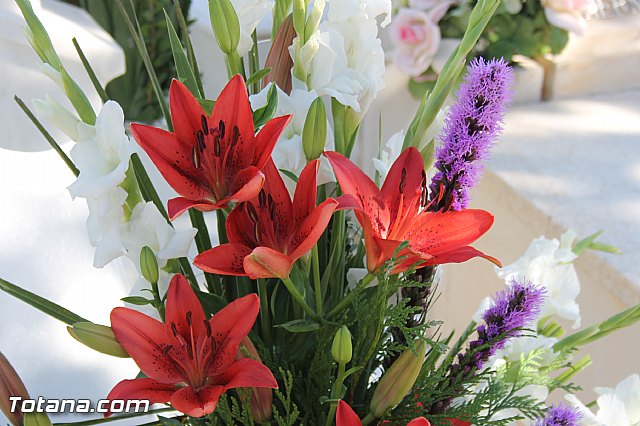 Da de Todos los Santos y Fieles Difuntos 2013 - 482