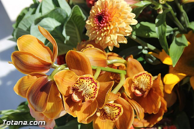 Da de Todos los Santos y Fieles Difuntos 2013 - 483