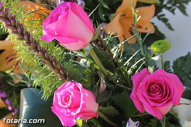 Da de Todos los Santos y Fieles Difuntos 2013 - 486