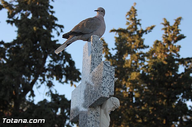Da de Todos los Santos y Fieles Difuntos 2013 - 598