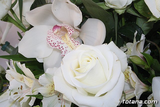 Da de todos los Santos y Fieles Difuntos 2014 - 491