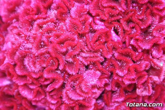 Da de todos los Santos y Fieles Difuntos 2014 - 493